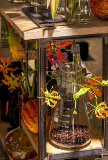 Artistic flower arrangements and decorations, German Floristry Championships, Berlin, Germany,