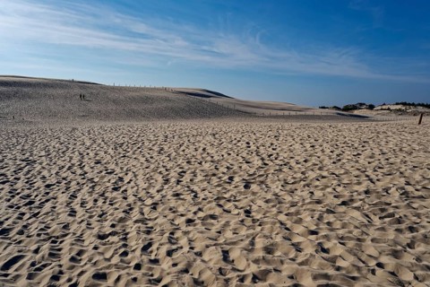 Dune landscape around the Lontz Dune, Wydma Lacka, the largest travelling dune on the Polish Baltic