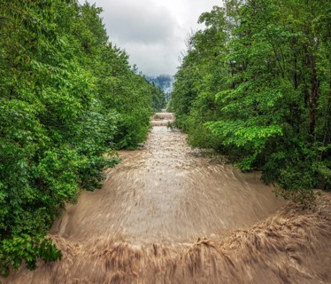 A full, fast-flowing river at high water level surrounded by green forest, Jenbach, Bad Feilnbach