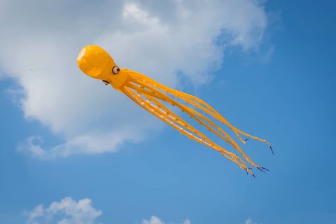 Yellow squid as flying dragon, octupus, wind, childhood, figure, blue sky, autumn, Germany, Europe