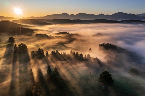 Aerial view of trees in fog in front of mountains, sunrise, summer, view of Benediktenwand and