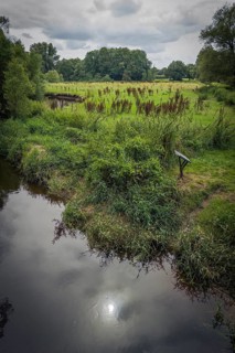 Cycle tour along the Dinkel, nature, cycle path, meadow, landscape, activity, excursion,