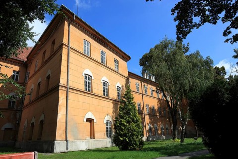 Hunyadi Castle, Castelul Huniade or Castelul Huniazilor, Romania, Banat, Timisoara, Timisoara,