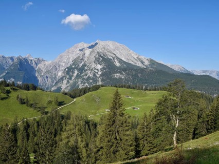 View across the Büchsenalm alpine pasture to the Watzmann with the Watzmann east face,