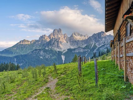 Alpine meadow in front of the large Bischofsmütze, Gosaukamm, Dachstein massif, Sulzenalm,