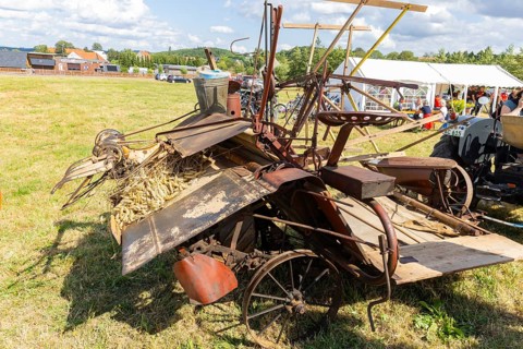 The Cunnersdorf village association presented historical harvesting techniques in agriculture,