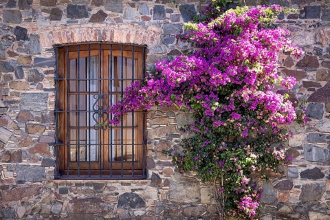 Uruguay, colonial streets of Colonia Del Sacramento in historic center of Barrio Historico, South