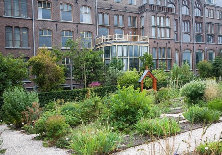 Plants growing in the botanical gardens at the University of Leiden, Netherlands