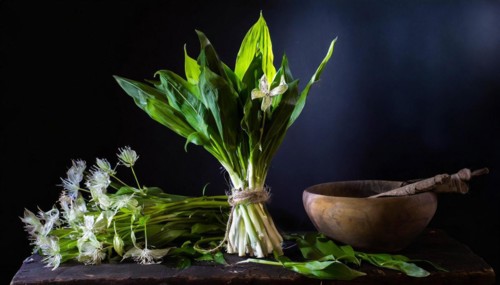 Wild garlic on a rustic table with a mortar and pestle in the background, Wild garlic, Allium