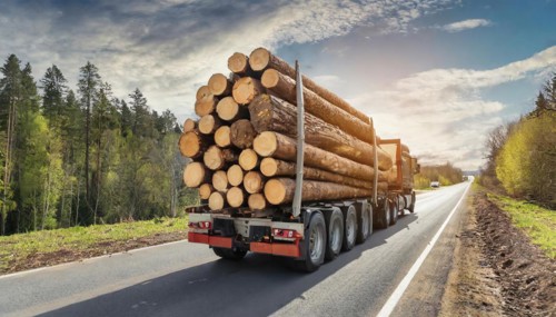 Forestry, timber industry, lorry, long timber transporter loaded with logs, on the road, AI