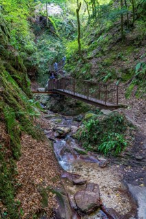The Rastenbach Gorge near the village of Kaltern, in the Adige Valley in South Tyrol, Italy, Europe