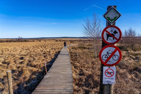 The High Fens, raised bog, in the Eifel and Ardennes region, High Fens-Eifel nature park Park,