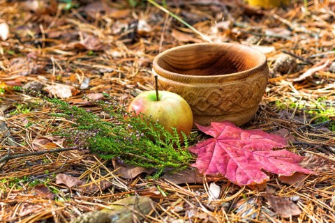 A wooden plate with heather, apple and red leaves. still life
