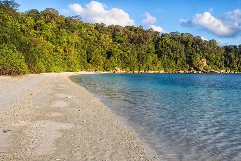 White sand beach with jungle on the tropical island. Malaysia