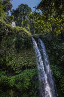 Tiu Kelep waterfall, nature, landscape, flowing, river, fresh, clear, clean, environment,
