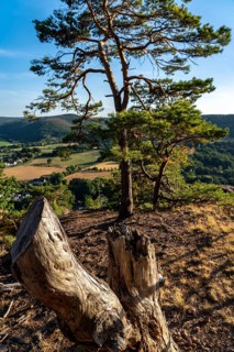Landscape in the Rureifel, view of the countryside, near Nideggen, Düren district, North