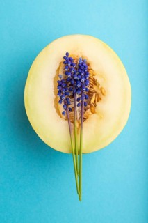 Sliced ripe yellow melon and hyacinth flowers on blue pastel background. Top view, flat lay, close