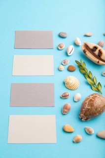 Composition with gray paper business cards, seashells, green boxwood. mockup on blue pastel