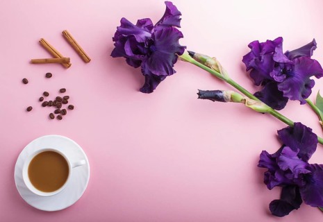 Purple iris flowers and a cup of coffee on pastel pink background. Morninig, spring, fashion