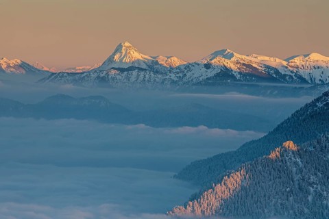 Mountain peak above high fog in the evening light, winter, snow, view from Laber to Guffert,