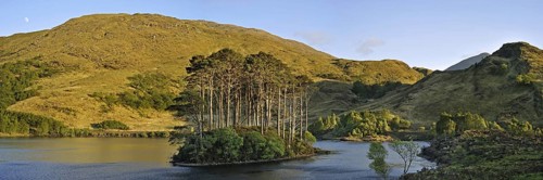 Eilean na Moine islet covered with Scots (Pinus sylvestris) pines in Loch Eilt along the Road to