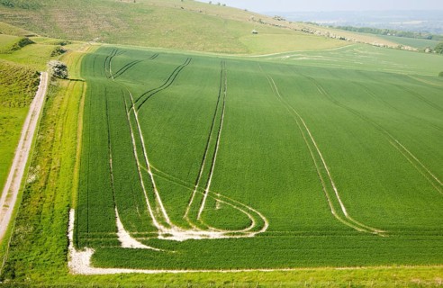 Chalk landscape Cherhill, Wiltshire, England, UK vehicle patterns in crops at foot of chalk scarp