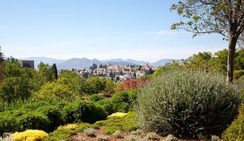 Generalife palace gardens, Alhambra, Granada, Spain, Europe