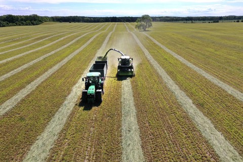 Aerial view of forage harvesting on an organic farm. A forage harvester transports the chopped