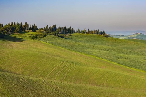 Crete Senesi, Province of Siena, Tuscany