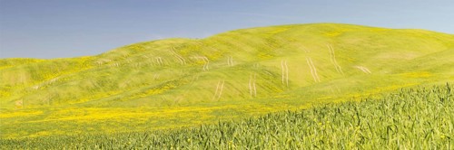 Landscape around Pienza, Val d'Orcia, Orcia Valley, UNESCO World Heritage Site, Province of Siena,