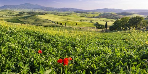Landscape around Pienza, Val d'Orcia, Orcia Valley, UNESCO World Heritage Site, Province of Siena,