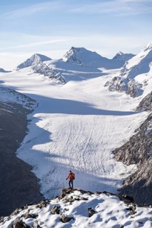 Mountaineer in front of mountain panorama and glacier, view of Gurgler Ferner with summit