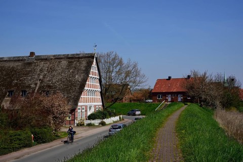 Europe, Germany, Lower Saxony, Altes Land near Hamburg, Steinkirchen an der Lühe, old half-timbered