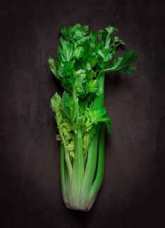 Fresh bunch of celery, top view, no people, on a dark background