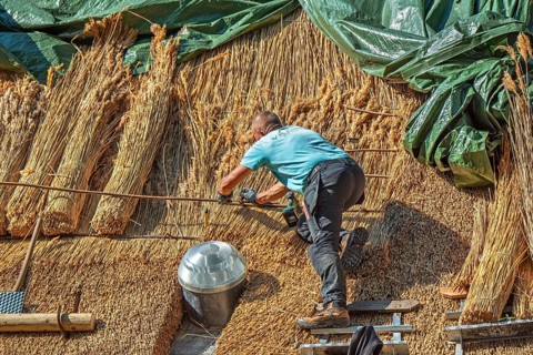 Thatch works by thatcher on thatched roof showing yelms, bundles of water reed used as roofing