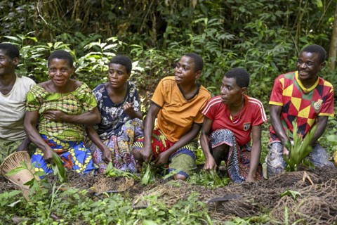 Pygmies of the Baka or BaAka people swear to hunt, hunting magic, net hunting, Dzanga-Sangha