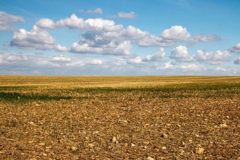 Harvested grain field, clouds, Freyburg, Saxony-Anhalt, Germany, Europe