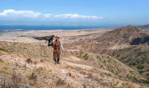 Traditional Kyrgyz eagle hunter hunting in the mountains in a dry landscape, near Kysyl-Suu, Issyk