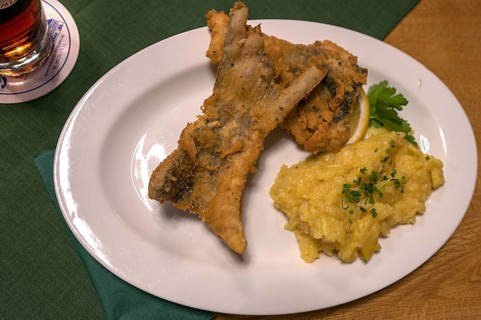 Baked carp fillet (Cyprinus carpio) served with potato salad in a pub, Franconia, Bavaria, Germany,