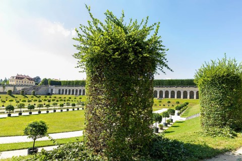 The Grosssedlitz Baroque Garden with the Friedrich Palace is situated on a hill on the left bank of