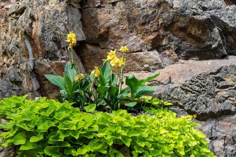 Weesenstein Castle rises on a rocky outcrop of nodular mica schist with quartzite deposits above