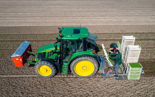 Agriculture, herb gardening, parsley is planted in rows in a field with a planting machine
