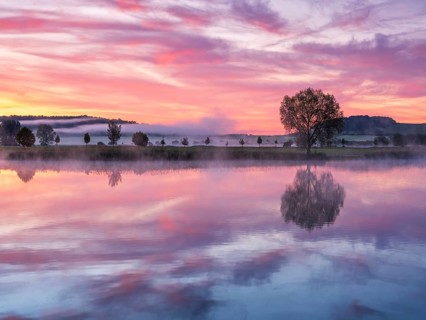 Still lake with morning mist at sunrise and dawn, a tree stands on the shore, clouds and landscape