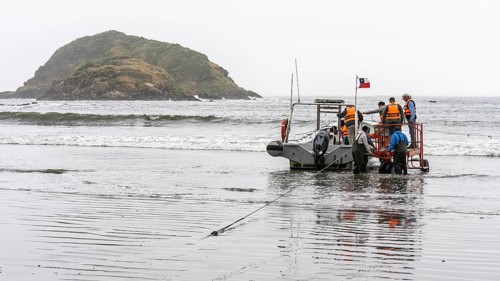 Natural Heritage Site Islotes de Punihuil, Punihuil, Chiloe, Chile, South America