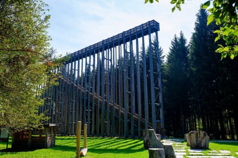 Sky ladder on the Schremser Hochmoor, municipality of Schrems, Waldviertel, Lower Austria, Austria,