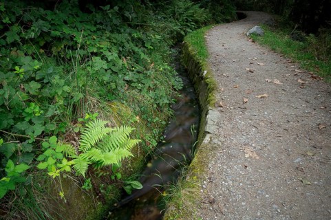 Hiking trail, Schenner Waalweg, Neuwaal, stream, long exposure, Schenna, Scena, South Tyrol,