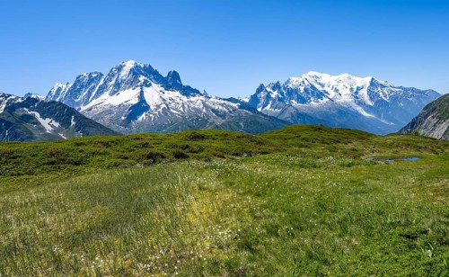 Mountain panorama with glaciated mountain peaks, Aiguille Verte with Aiguille du Midi and Mont