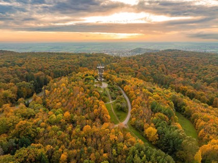 Observation tower in the middle of a colourful autumn forest with a passable road and a wide