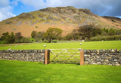 Hallin Fell, Howtown, Ullswater, Lake District national park, Cumbria, England, UK