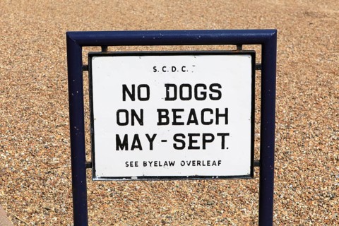 No Dogs on Beach seaside sign Felixstowe, Suffolk, England, UK